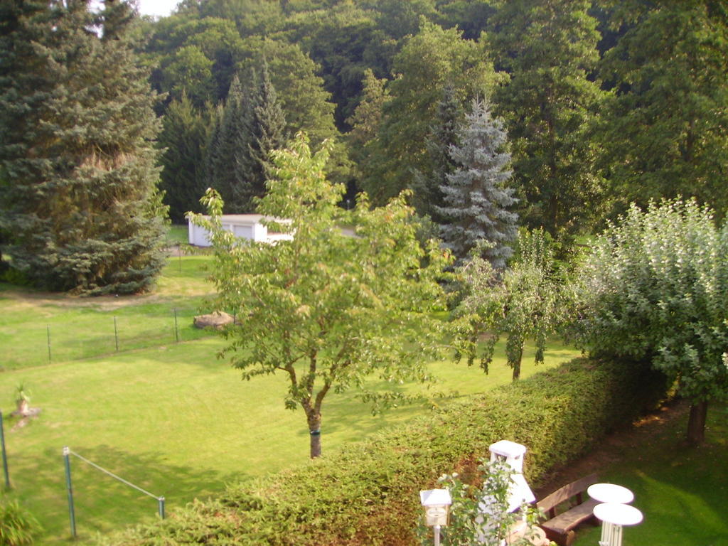 Hotel Zur Erholung Brochthausen Zimmer foto